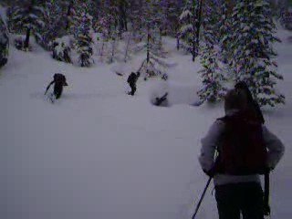 Ski de rando