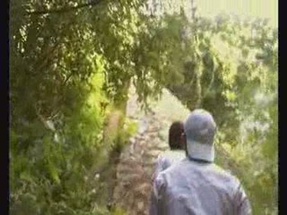 B.D.L. clip 5 c'est