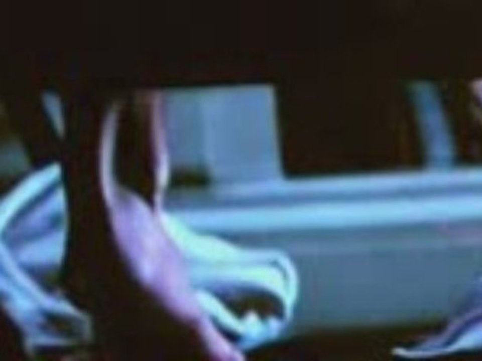semilla 2