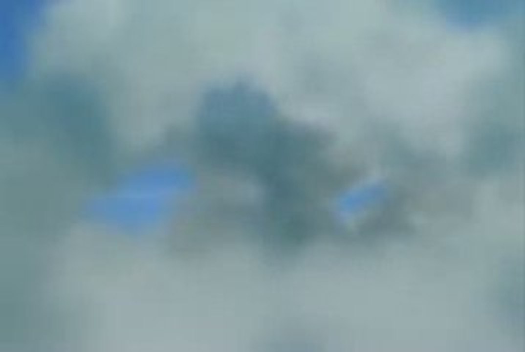 demo_2007