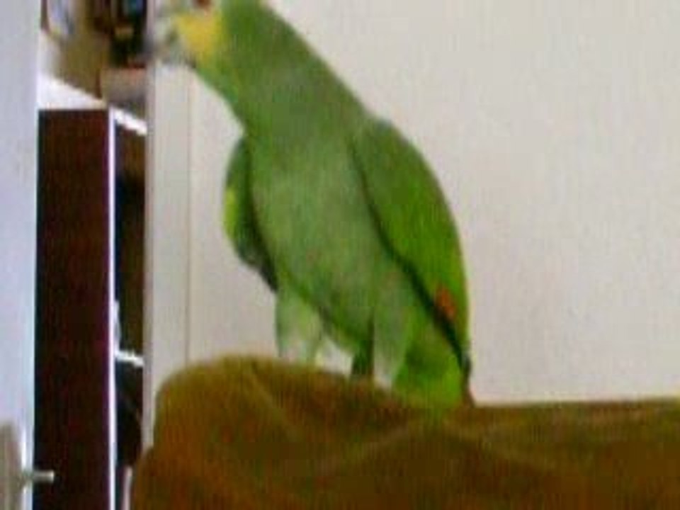 Coco