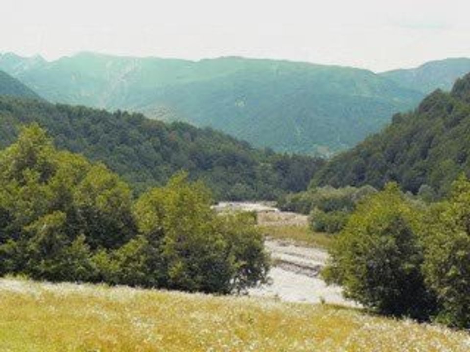 XAREBA DA GOGIA _ sakartvelo