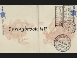 Explore the Beauty of Springbrook NP 🌿