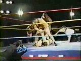 AAA Lucha Libre vs Wrestling USA P4