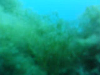 Tir d'un gros barra 🎯