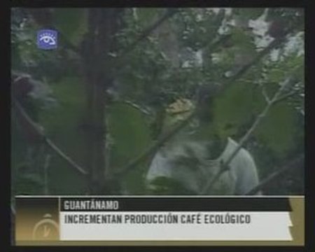 Aumenta la producción de alimentos ecológicos en Cuba