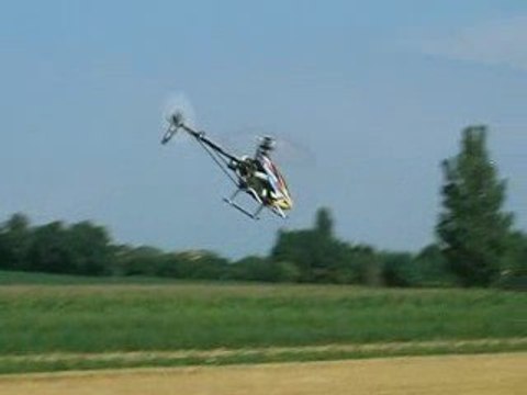 Trex 500 ESP premiers looping