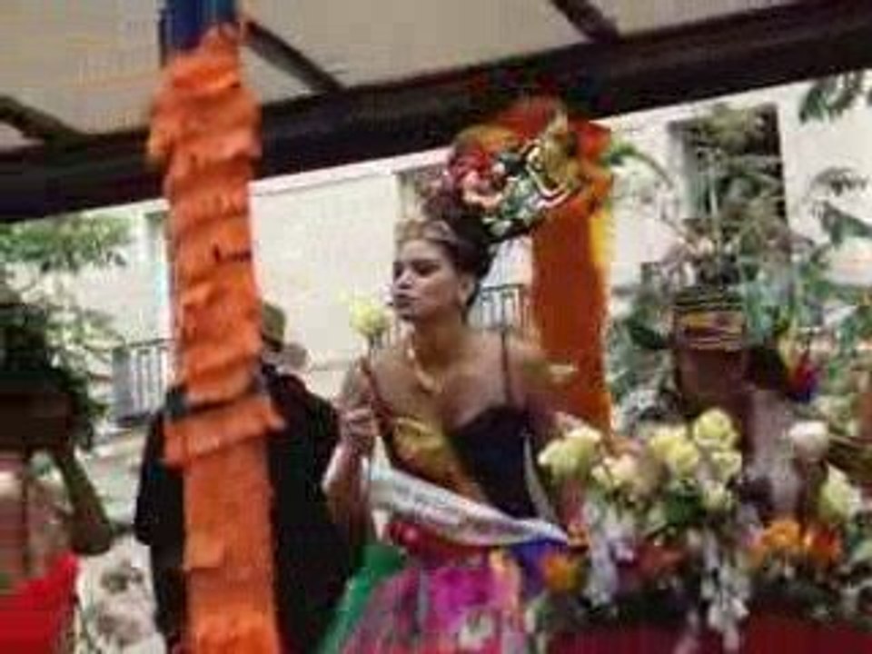 Carnaval Tropical Paris 1 - 2009