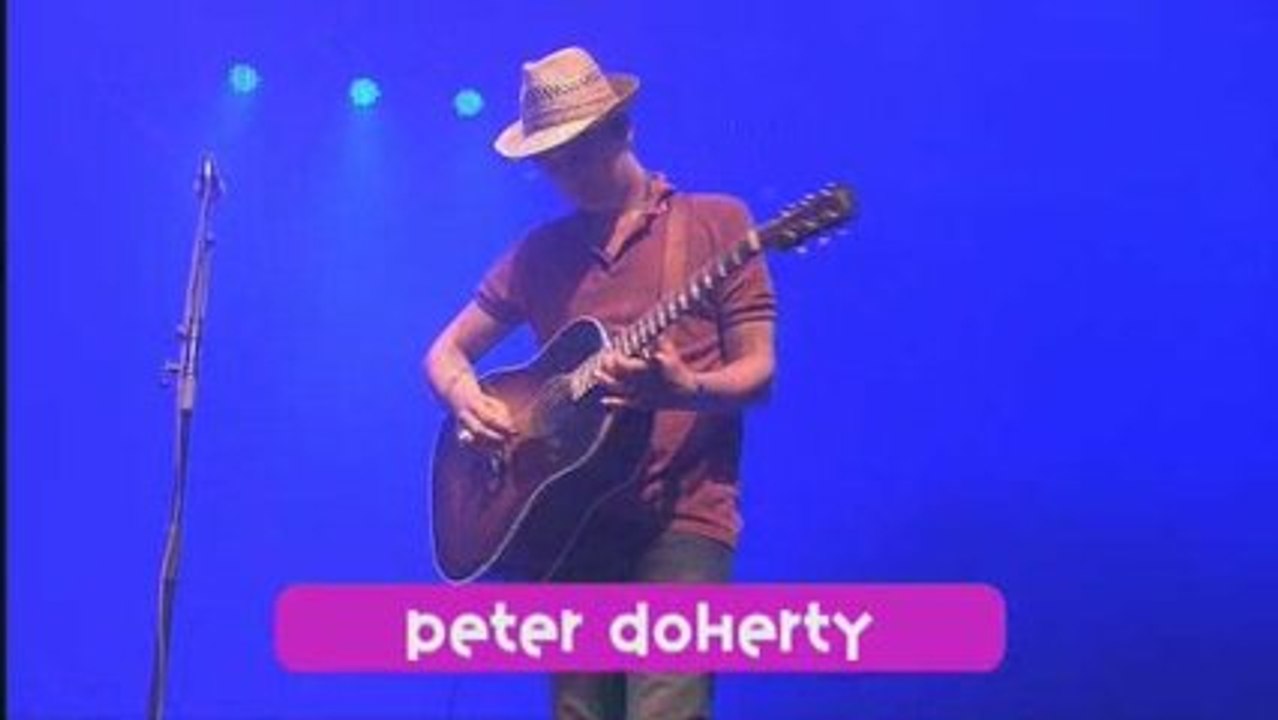 Peter Doherty Eurockéennes Live