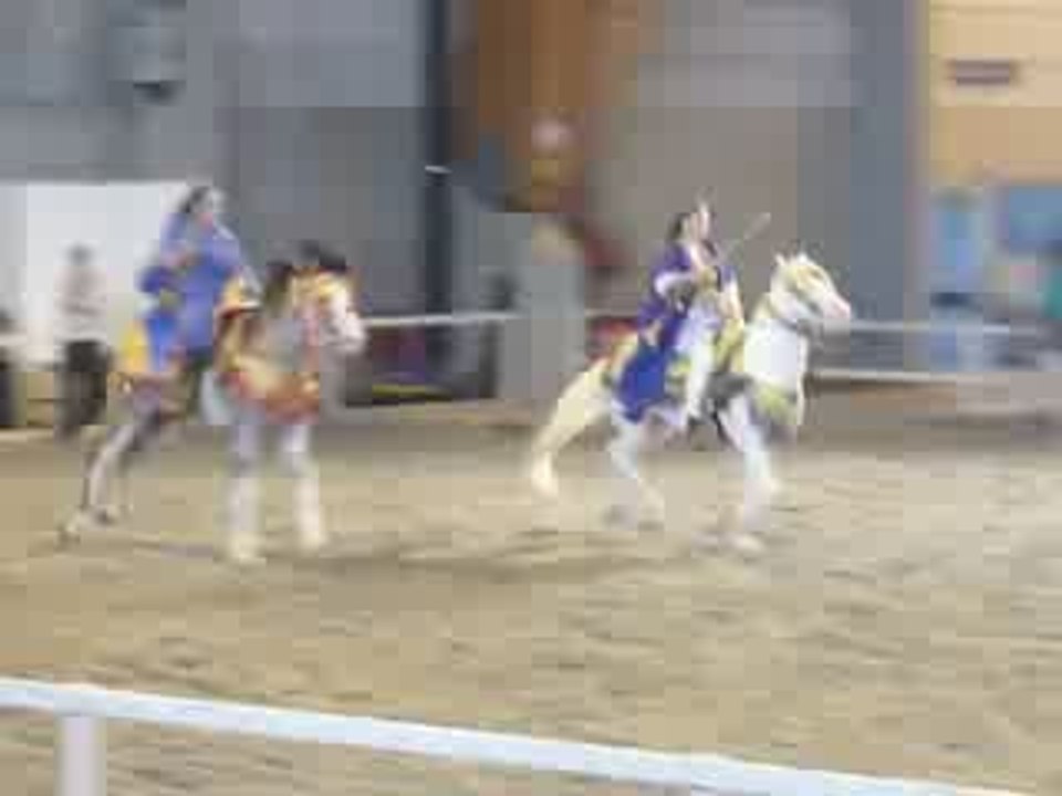 salon du cheval colmar 2009