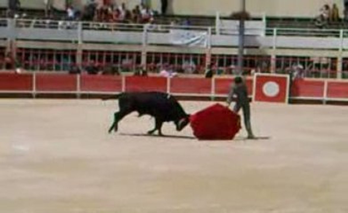 Thomas Bournel Novillada St Gilles