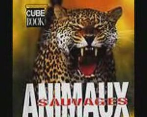 **voyage en terre sauvage**