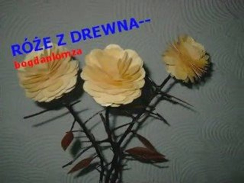 Biała róża piękna róża