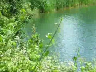 chanel fait trempette