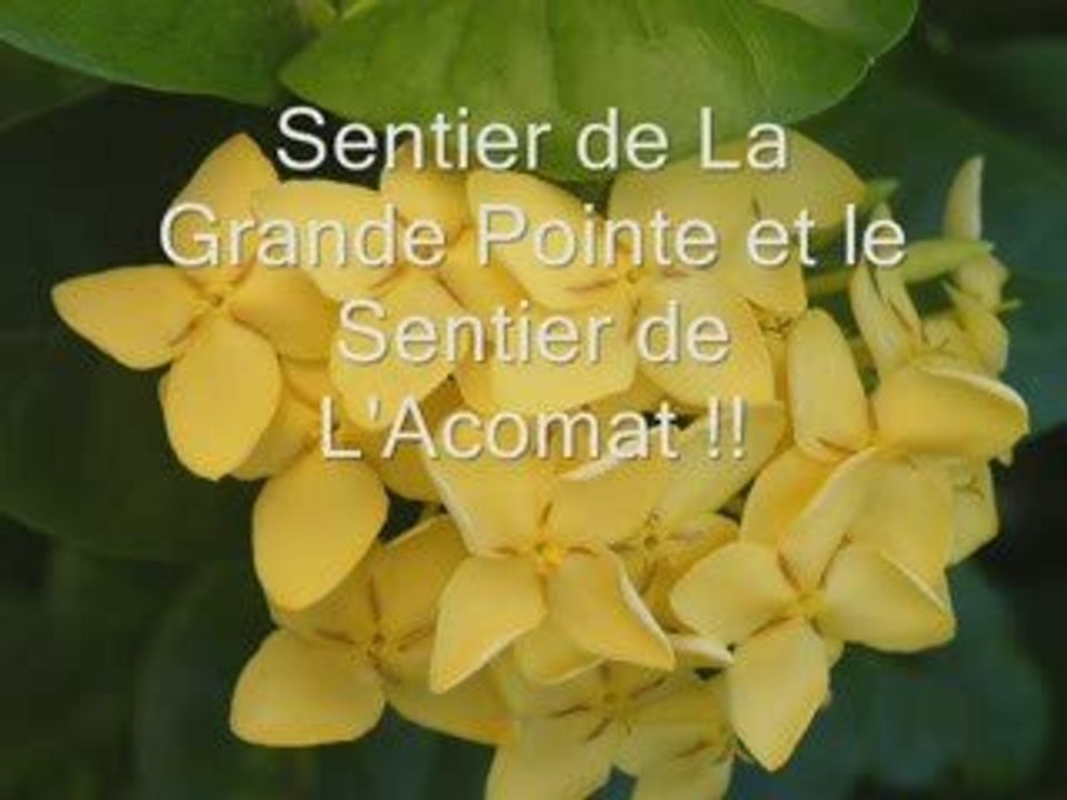 vacance en gwada février 2009