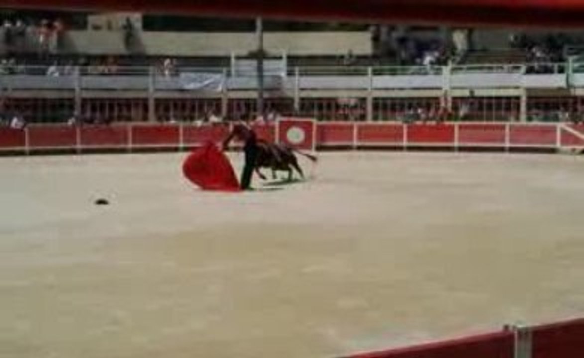 Juan Léal novillada matinale St Gilles