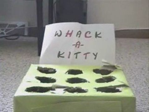 Chasse taupes avec des chatons (suite)