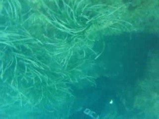 Tir d'une rascasse de FAB