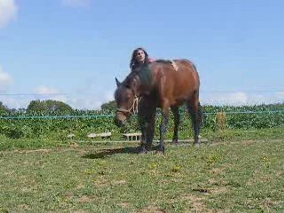 Jingel travaille a pieds