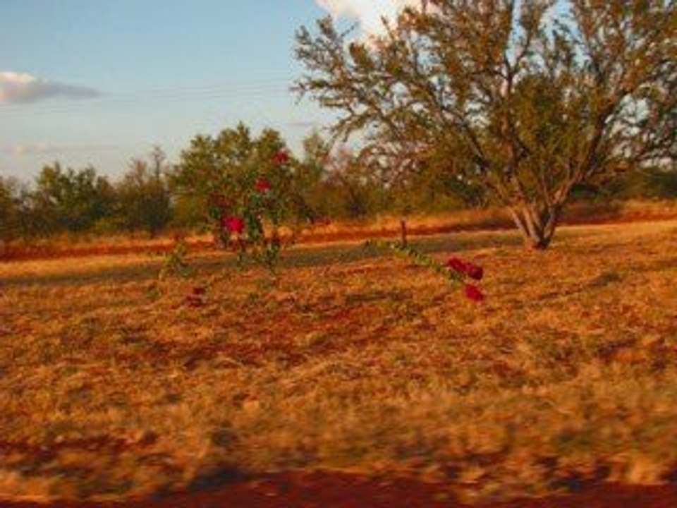 from Darwin to Cairns