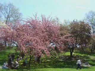 New York: Dag 1 & Dag 2