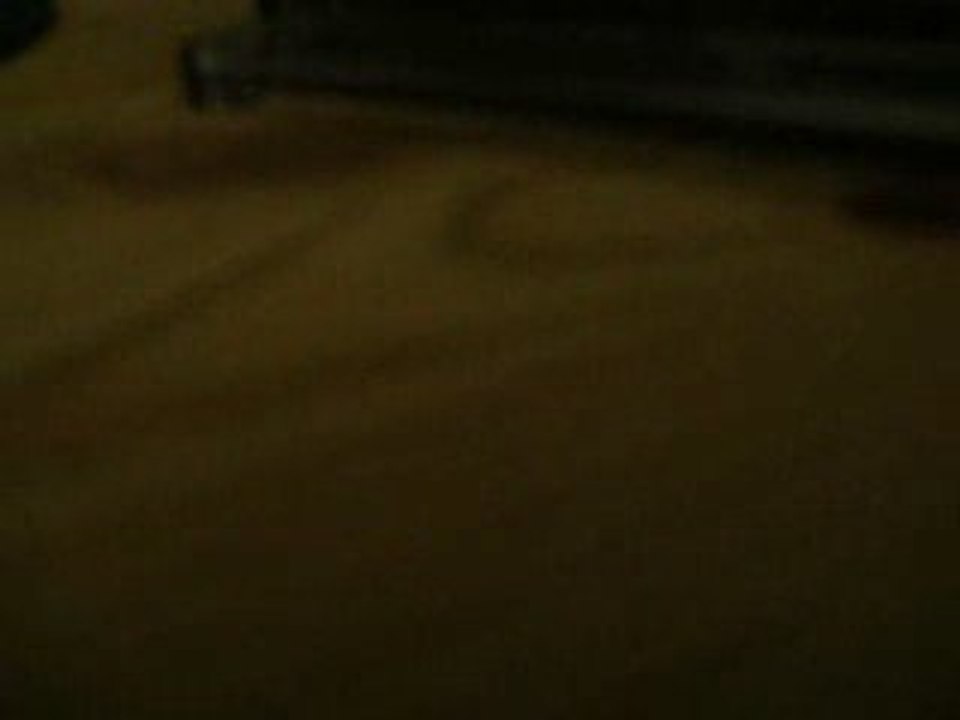 morgane chante you're the one that i want (grease)