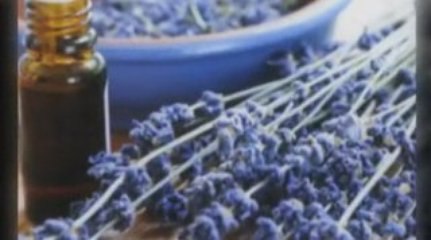 Do It YourSelf Organic Skin Care Recipes and Health Tips