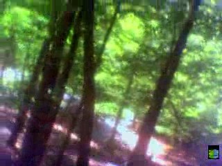 20090628 VTT - Pass'portes 2009 - Test du Canyon AM 9.0