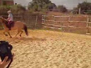 Pilou saut alex 2