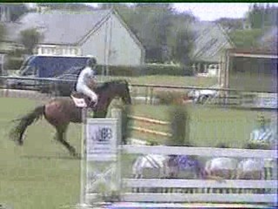 Kandjar du Ger au GP 1m10 de chateaubriant