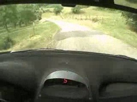 RALLYE SAINT MARCELLIN 2009 ODOIT/MILESI 206 MAXI ES 8