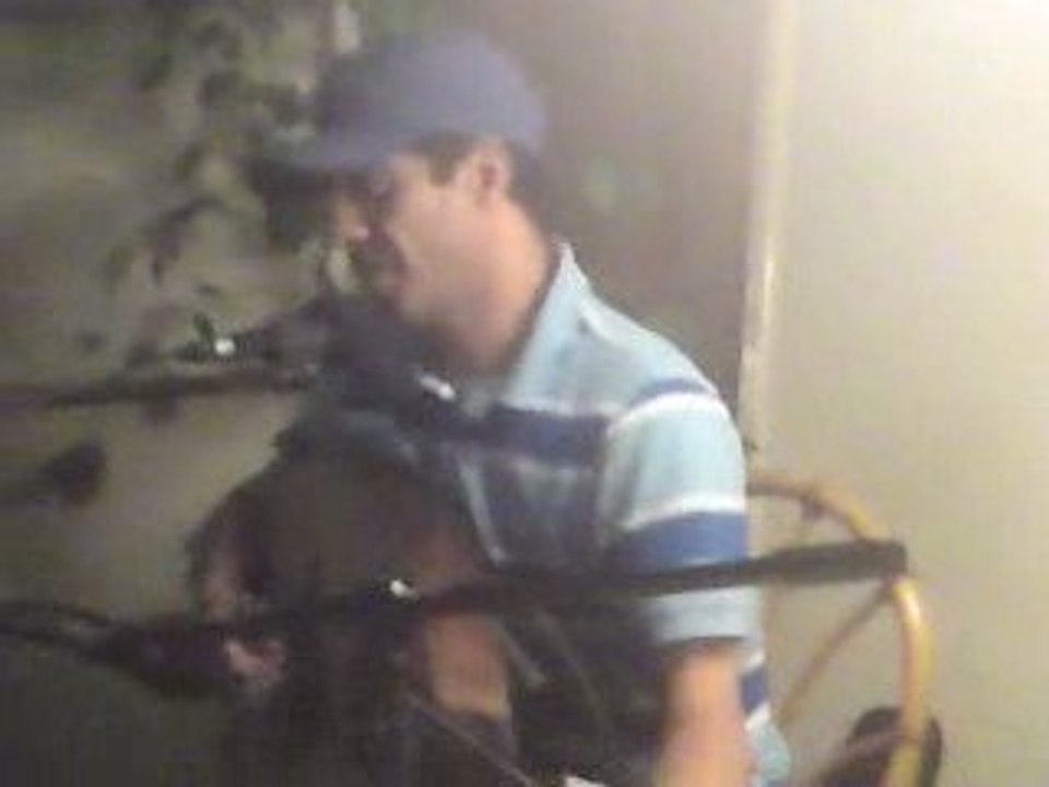 said el mir qua3da a mitcham lane (london)