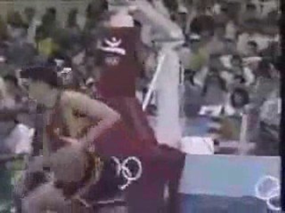 USA Team Top Dunks.