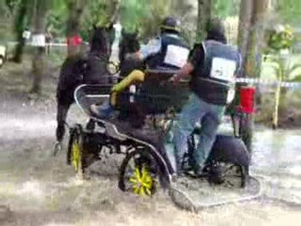 Attelage Reignac 2009