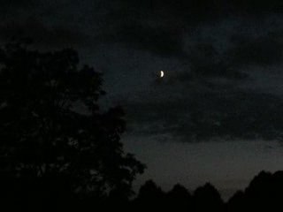 Lune et chauve souris