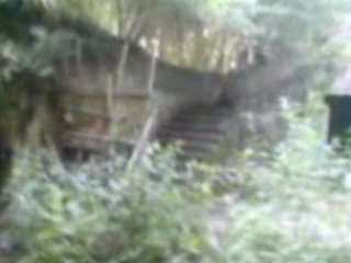OP du 04 juillet 2009