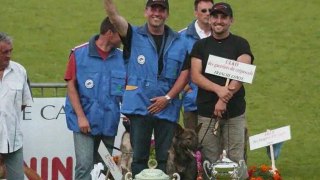 ULKO à Brive, Finale RING 2009