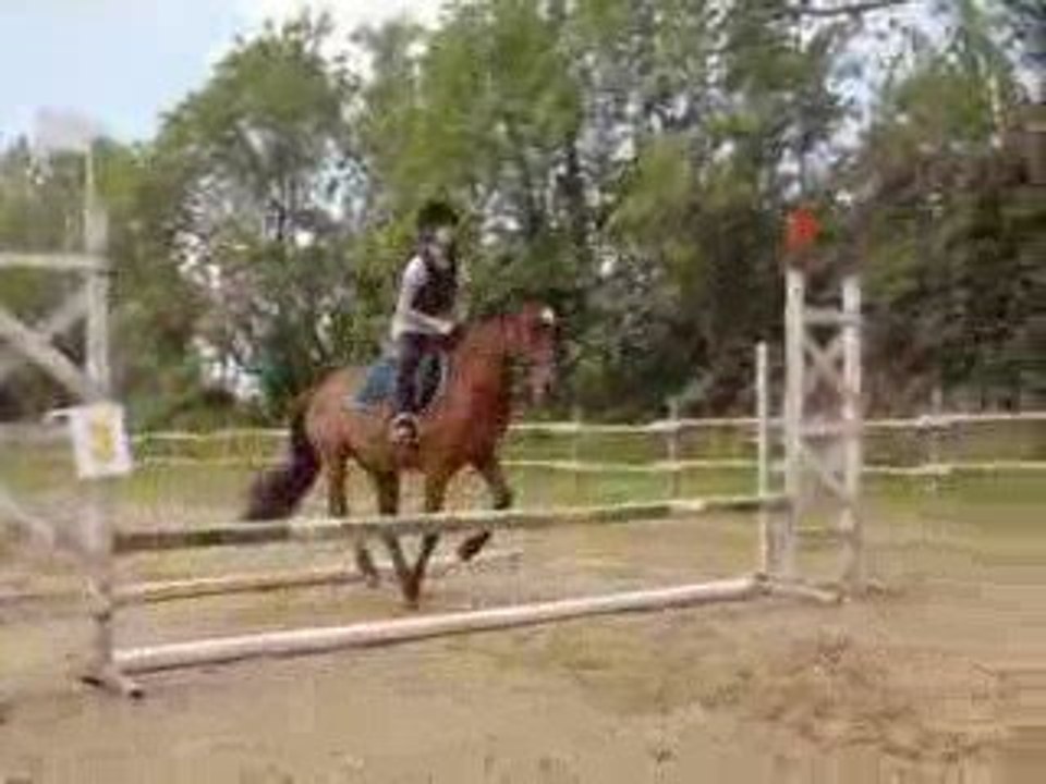 quick et charlotte