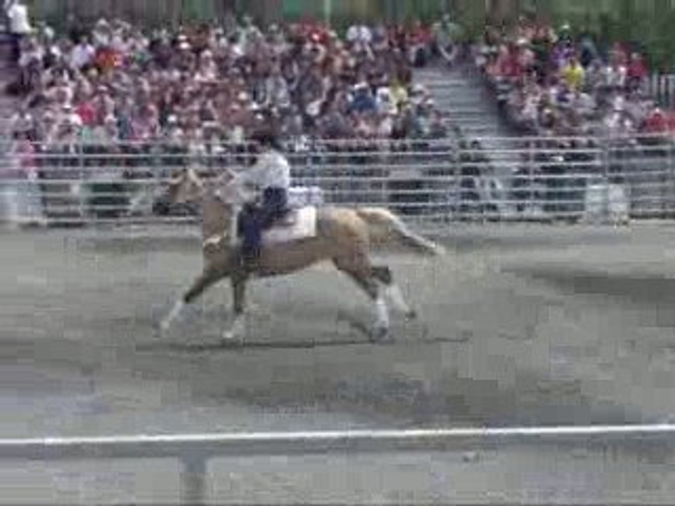 compétitions de Barrel et de Roping