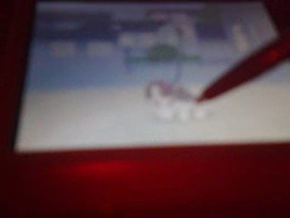 Vidéo Nintendogs comment entrainer sont chiot au concours