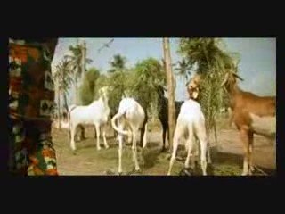 Mi pa mya (Sista Kash)