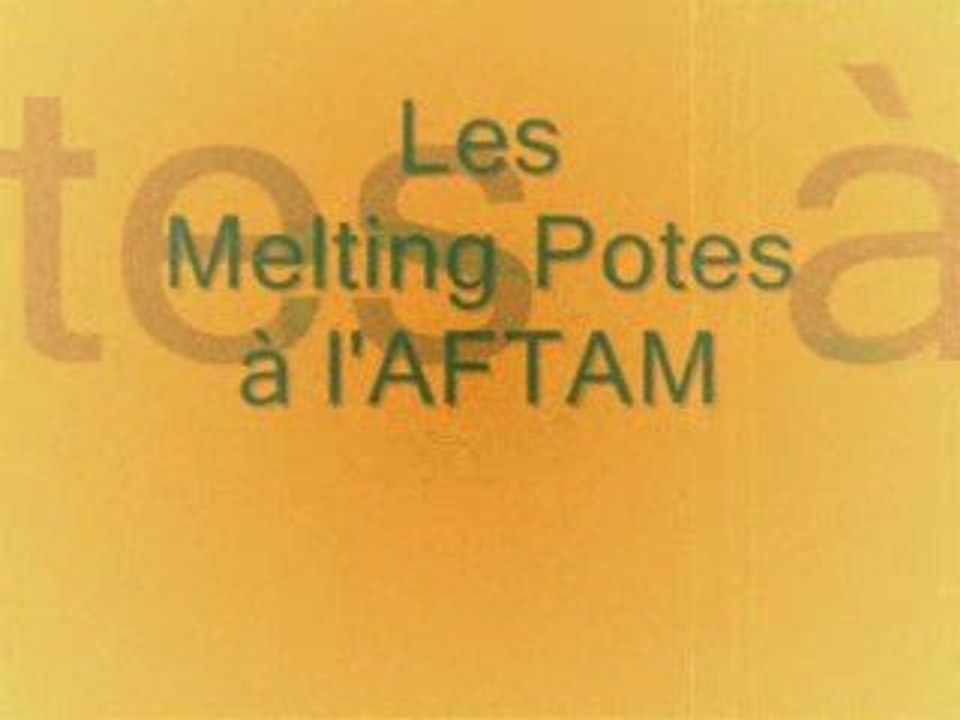 Les Melting Potes