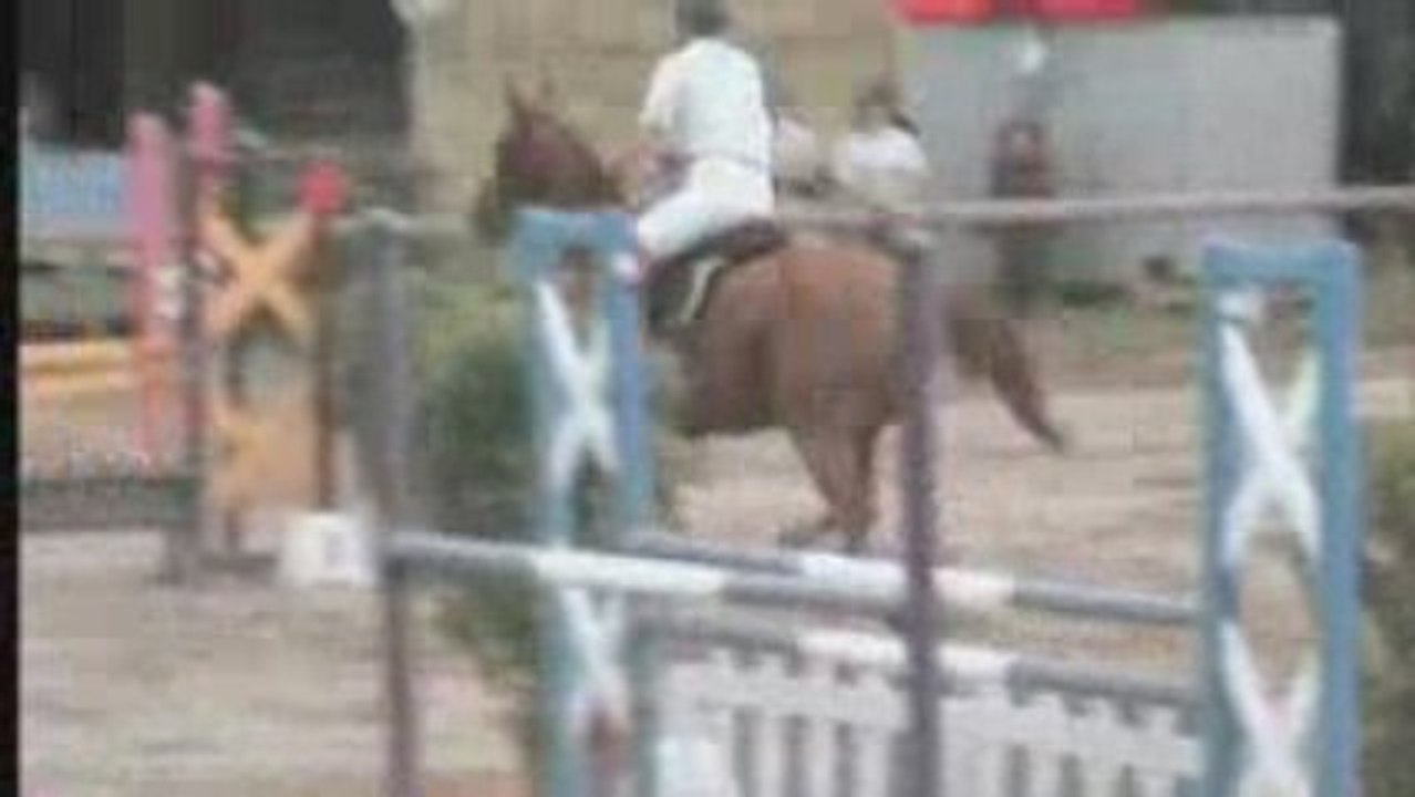 Amélie Jet St Lu 105vitesse (chasse)