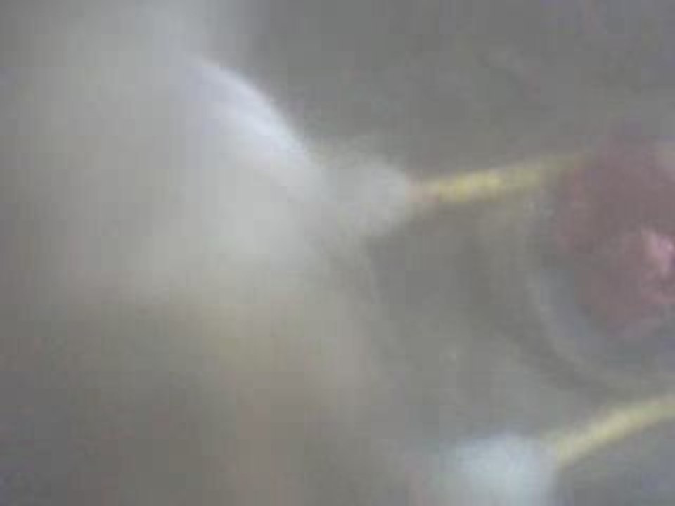 Jeunes faucons crécerelles de Pressigny à l'heure du repas