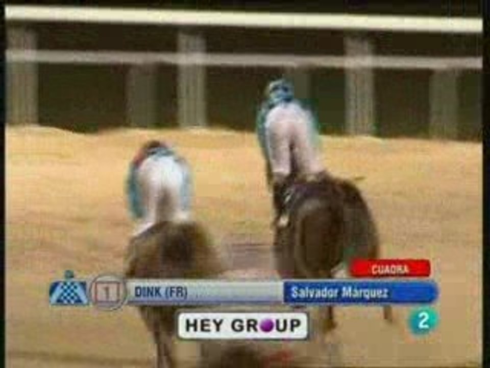 2009.07.02, nº 220 LZ (C) Dink