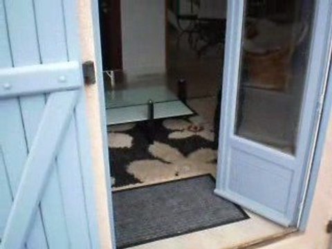 je ne sais pas quoi faire....