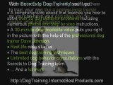 Dog Training - Secrets to Dog Training