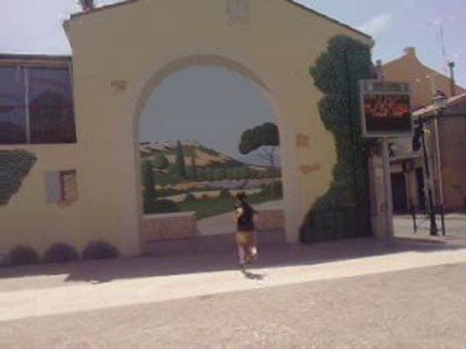 le trompe l oeil