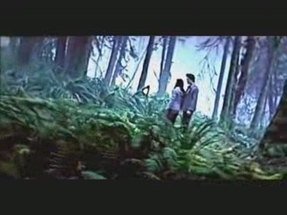 Edward & Bella//Martial Law #