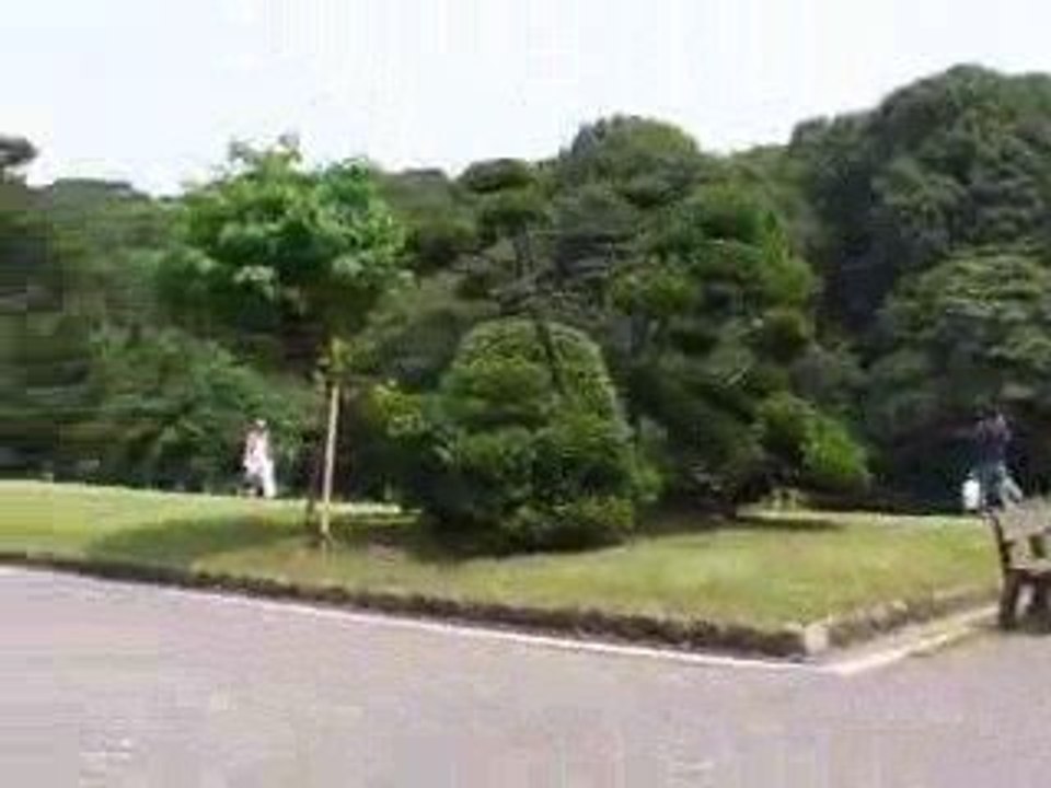 Yoyogi Koen...